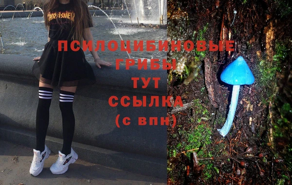 гидропоника Горно-Алтайск