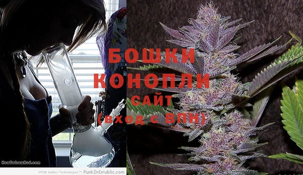 гидропоника Горно-Алтайск