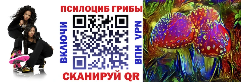 мега вход Меленки Галлюциногенные грибы Cubensis